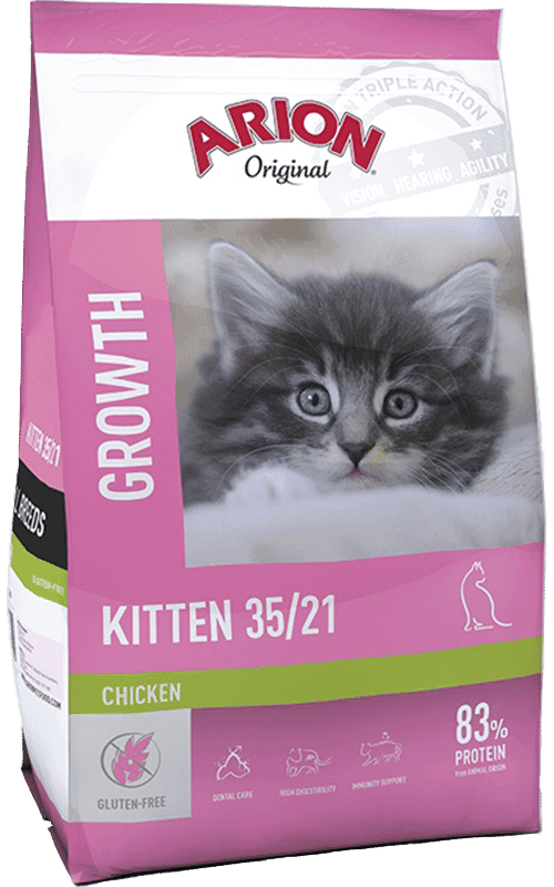 ARION Original Kitten