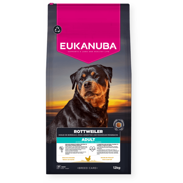 Breed Specific Rottweiler Adult with Fresh Chicken